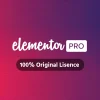 Elementor Pro GPL Plugin at Cheap