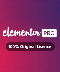 Elementor Pro GPL Plugin at Cheap
