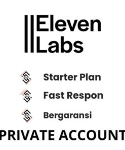 Eleven Labs Starter 1 Month